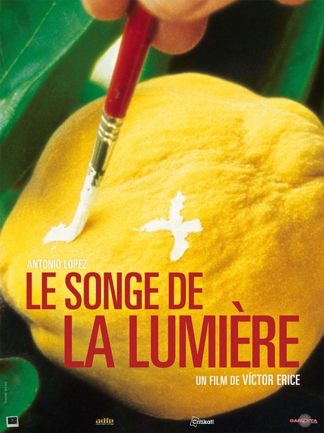 Affiche du film Le songe de la lumière 
