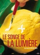 Affiche du film Le songe de la lumière 