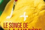 Affiche du film Le songe de la lumière 
