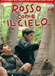 affiche italienne du film