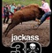 affiche 2 du film jackass 3d - Jackass 3D 