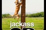 affiche 3 du film jackass 3d