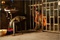 jamel-en-prison-jpg