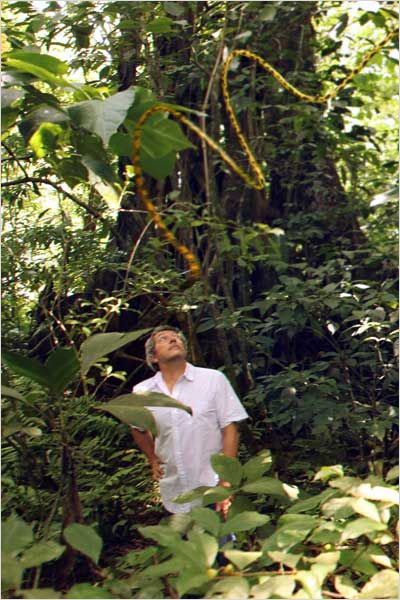 premiere-photo-du-marsupilami-jpg