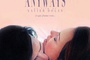 Affiche du film Laurence Anyways 