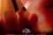 affiche-teaser-3-jpg