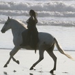 kristen-stewart-ur-son-cheval-blanc-jpg