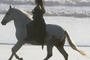 kristen-stewart-ur-son-cheval-blanc-jpg