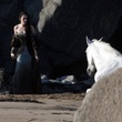 le-cheval-venant-a-blnche-neige-jpg
