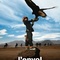 Affiche du film L'envol  - L'envol (2010) 