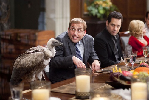 steve carell imitant le faucon