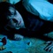 daniel-radcliffe-au-sol-jpg - La Dame en Noir 
