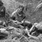 photo 8 du film l empire du milieu du sud - L'empire du milieu du sud 