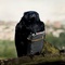 photo 8 du film we are four lions - We are Four Lions 