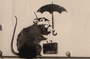 photo du film faites le mur
