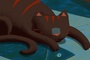 un chat
