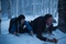 lily-collins-et-armie-hammer-jpg