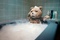 ted-dans-le-bain-jpg