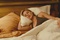 l actrice abbie cornish