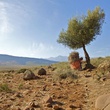 paysage-jpg