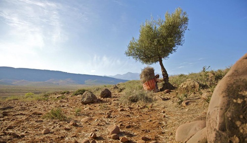 paysage-jpg