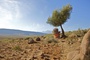 paysage-jpg