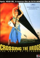 Affiche miniature du film Crossing the bridge - the sound of Istanbul