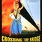 Affiche du film Crossing the bridge - the sound of Istanbul - Crossing the bridge - the sound of Istanbul 