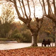 photo du film le fils a jo