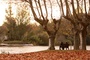 photo du film le fils a jo