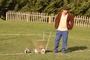 Terrain de rugby