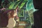 arrietty sous les feuilles