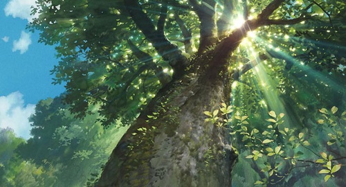 le soleil derriere l arbre