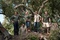 matt-damon-angus-macfadyen-scarlett-johansson-colin-ford-thomas-haden-church-jpg