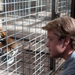 matt-damon-face-a-un-tigre-jpg
