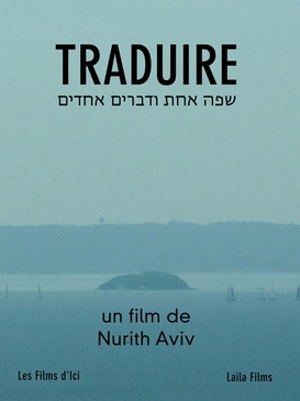 Affiche du film Traduire
