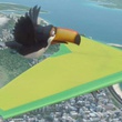 Toucan