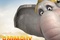 affiche teaser angie
