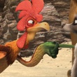 coq et chien de prairie