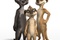 des chiens de prairie