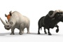 un bufle et un rhino
