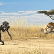 un chien de prairie et un lion