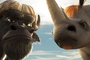 un rhino et un bufle