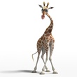 une girafe