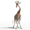 une girafe - Animaux et cie 