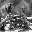 photo 3 du film les fables de Starewitch
