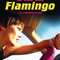 Affiche du film Dubaï flamingos  - Dubaï flamingos 