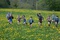 des-enfants-jpg