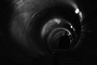 photo 9 du film dharma guns