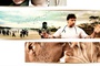 Affiche du film Revenge 